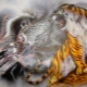 Компатибилност змаја и тигра у пријатељству, послу и љубави