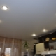 Reflektorfények a konyhában: a választás és az elhelyezés jellemzői
