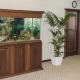 Aquarium cabinets: varieties, selection, manufacture, installation