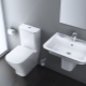 مراحيض أرضية بدون إطار: التصميم ، الإيجابيات والسلبيات ، الاختيار