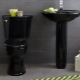 Black toilets: types, choices and options in the interior