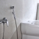 Tắm vệ sinh với máy trộn: giống, nhãn hiệu và sự lựa chọn