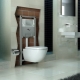 Εγκατάσταση για τουαλέτα: περιγραφή, τύποι και επιλογή