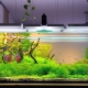 How to make an aquarium with your own hands?