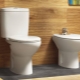 Welche Ceramin-Toilette soll man wählen?