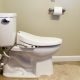 Toiletten-Bidet-Abdeckung: Sorten, Marken, Auswahl und Installation
