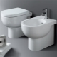 Тоалетни чинии: функции, видове и инсталация