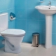 مقاعد المرحاض Santek: ميزات وتوصيات للاختيار