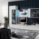 Moderné steny v obývacej izbe: výhľady, výber a možnosti v interiéri