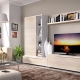 جدران للتلفزيون في غرفة المعيشة: أصناف وتوصيات للاختيار