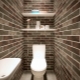 Тоалетна в стил лофт: насоки за дизайн и красиви примери