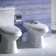 Roca toaletter: beskrivning, typer och urval