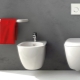 Typer av toaletter i en skål: vad är och hur man väljer?