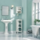 Design of a bathroom with painted walls