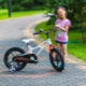 Savybės ir geriausi „Royal Baby“ dviračių modeliai