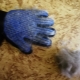 Sarung tangan untuk menyikat rambut haiwan kesayangan: apa dan cara memilih?