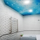 أسقف مستعارة في الحمام: الميزات والأصناف والتصميم