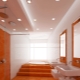 Techo de paneles de yeso en el baño: pros y contras, ejemplos de diseño