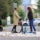Shulz scooters: características da marca e características do modelo