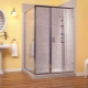 Portes en verre pour une cabine de douche: variétés, choix, soins