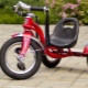 دراجات ثلاثية العجلات للأطفال من 2 سنة: الأنواع والخيارات