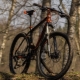 KTM велосипеди: модели, указания за избор