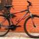 Xe đạp Stern: ưu, nhược điểm và đặc điểm của mô hình
