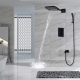أنظمة الاستحمام السوداء: الاختيار والاستخدام في الداخل