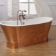 أحواض الاستحمام المصنوعة من الحديد الزهر: الميزات والأحجام ونصائح الاختيار