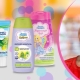 Cosmetice pentru copii Little Fairy: informații despre brand și sortiment