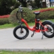Bicicletas eléctricas para niños: variedades, marcas, elección, reglas de uso.