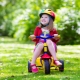 الدراجات الثلاثية للأطفال: تصنيف النموذج وقواعد الاختيار