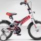 دراجات Stels للأطفال: أصناف ونصائح للاختيار