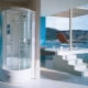 Puertas para una cabina de ducha: descripción de tipos, diseño y reglas de selección.