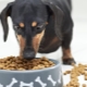 Как да изберем храна за кучета с чувствително храносмилане?
