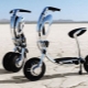 Potentes scooters eléctricos: variedades y consejos para elegir