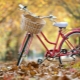 Преглед на бюджетните велосипеди и съвети за избора им