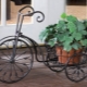 Çiçekler için bisiklet standı: çeşitleri, seçim önerileri