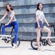 Biciclette elettriche pieghevoli per adulti
