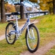Stels Xe đạp: Ưu và nhược điểm, giống và lời khuyên lựa chọn