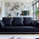 Siyah kanepeler: iç mekandaki çeşitler ve seçenekler