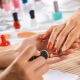 Ringkasan Manicure Master: Bagaimana Lengkap