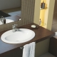 Arbeitsplatte im Badezimmer unter dem Waschbecken: Eigenschaften, Sorten, Auswahl