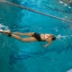 معدات اللياقة البدنية للسباحة في المسبح: أصناف ونصائح للاستخدام والاختيار