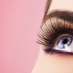 Interesting facts about eyelashes