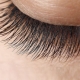 Tools for the growth of eyelashes at home and their use
