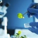 Hvem er en bioteknolog, og hvad gør han?