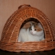Ein Katzenhaus aus Zeitungsröhren weben