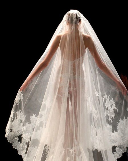 Véu do vestido de casamento transparente