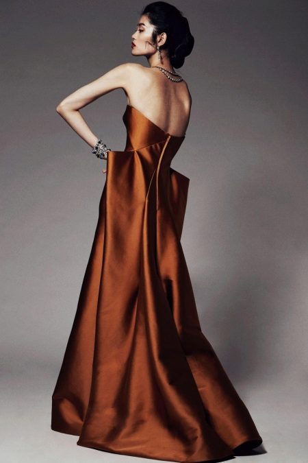 Fancy Terracotta Dress